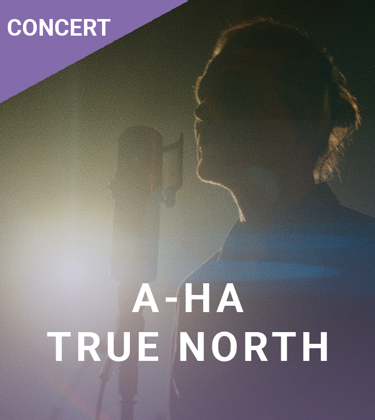 A-ha : True North